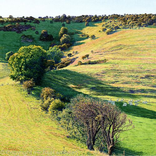 Hedgerow