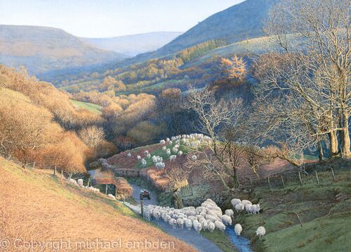 Valley with Sheep - Brecon Beacons