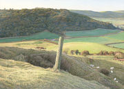 Hilltop with Fence Post