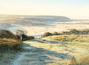 Autumn Frost