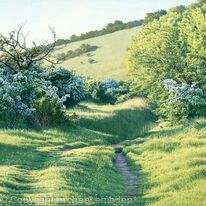 Spring Path