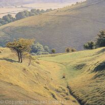 South Downs