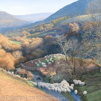 Valley with Sheep - Brecon Beacons