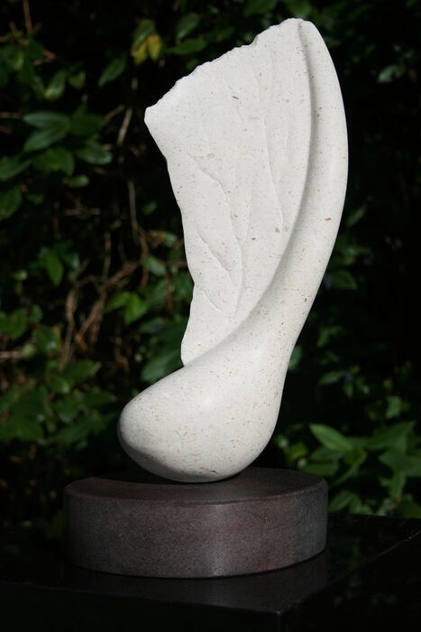 Winged seed (2009)
