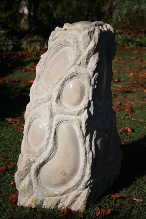 Biota III (2009)