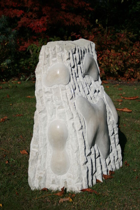 Biota IV (2009)