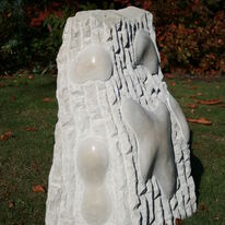 Biota IV (2009)