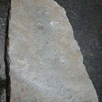 May 2009