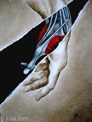 workings of the hand