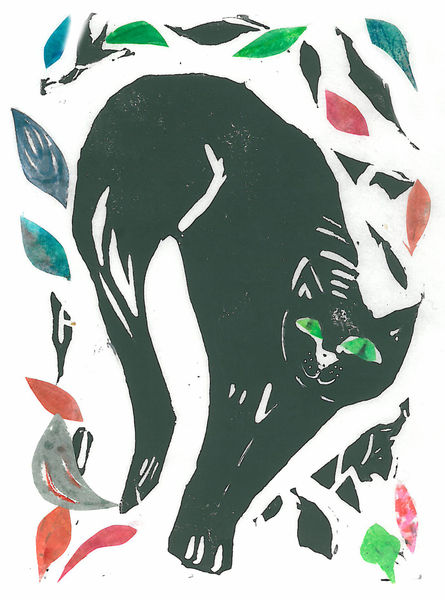 black cat