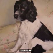 My Chair!