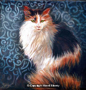 Fluffy pussy cat