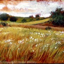 Summer fields, Youlgrave