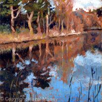 Winter reflections, Stand Wood
