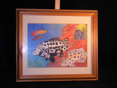 tropical fish
