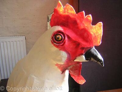 big chicken head