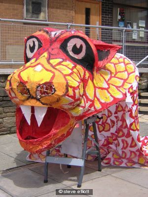 chinese tiger