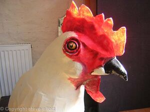 big chicken head