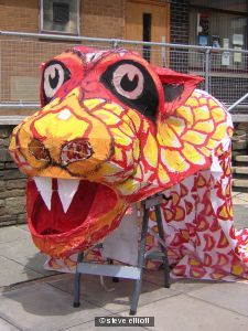 chinese tiger