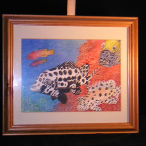 tropical fish