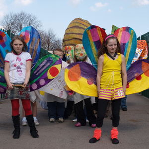 butterflies at Foredyke primary