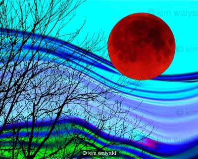 tree dreams 5