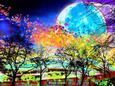 tree dreams 3