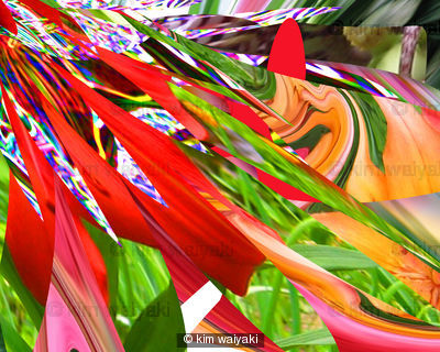 wildflower 3