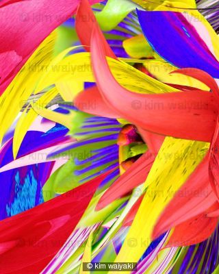 wildflower 4