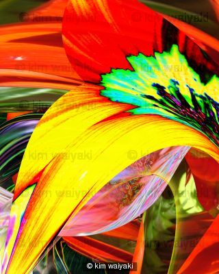 wildflower 5