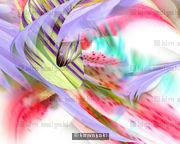 wildflower 2