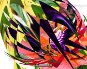 wildflower 1