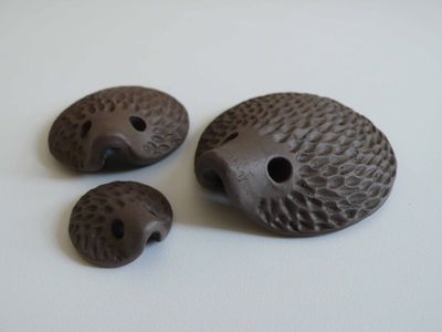 Hedgehog Family
