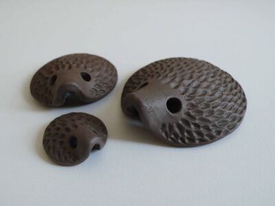 Hedgehog Family