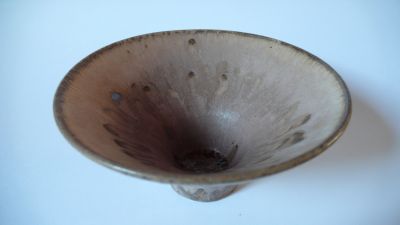 Mushrm 02 internal