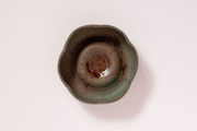 Lotus Pod