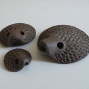 Hedgehog Family