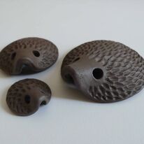 Hedgehog Family