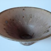 Mushrm 02 internal