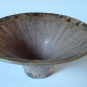 Mushrm 01 internal