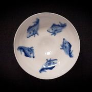 Fish Dish