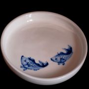 Fish Plate