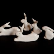 Bunny Rabbits