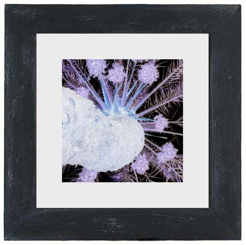 Black Wood Frame White Mount