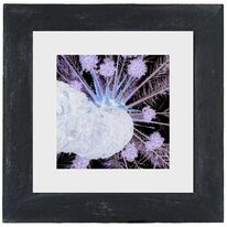 Black Wood Frame White Mount