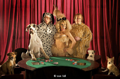 Dog Poker from That Mitchell and Webb Look, series 4