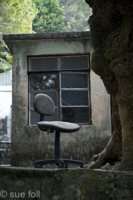 Computer chair, Lamma