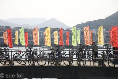 Lamma, New Year flags