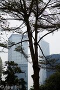 HSBC from the gardens