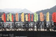 Lamma, New Year flags